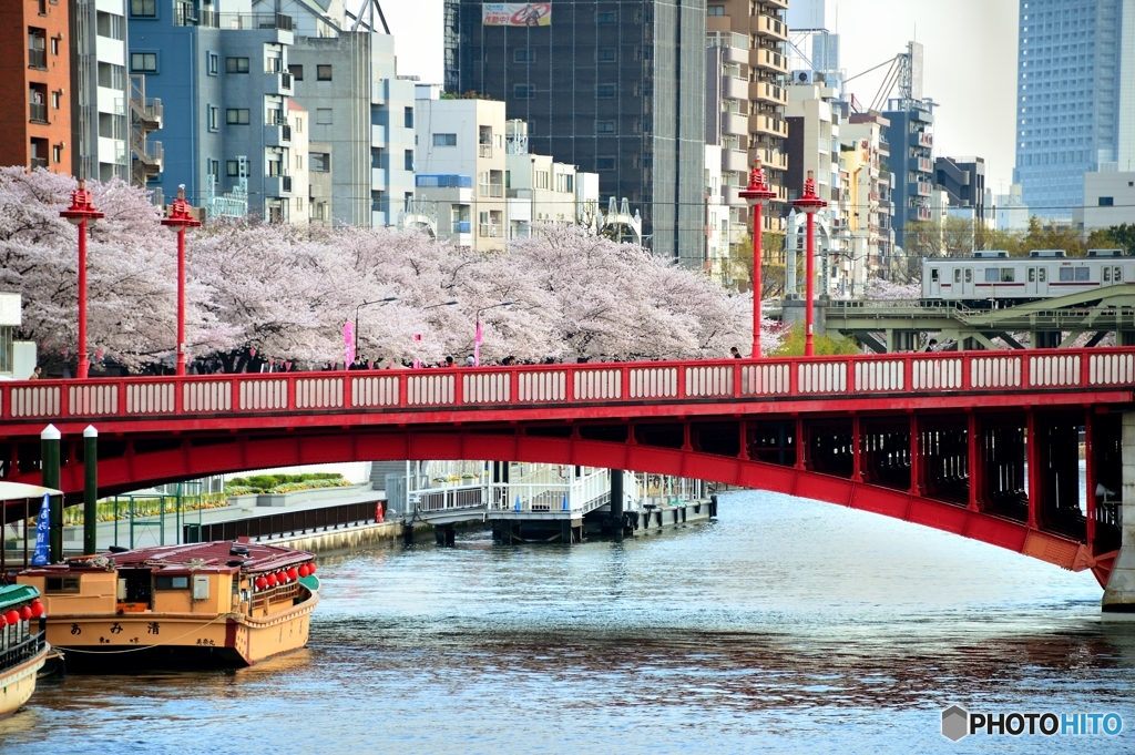 桜と電車と吾妻橋
