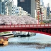 桜と電車と吾妻橋