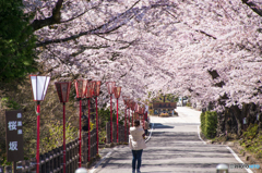 桜坂