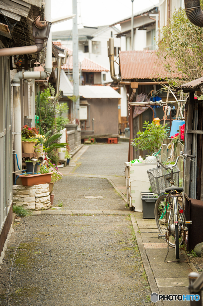隠岐の島 港町スナップ③