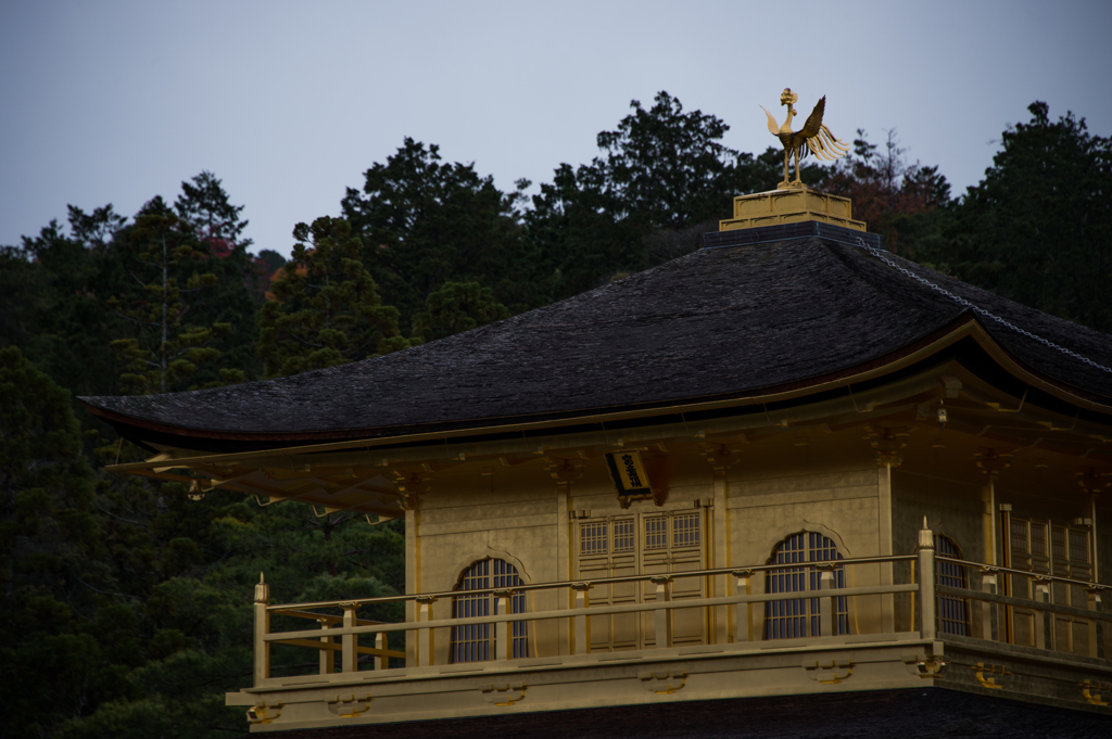 金閣寺