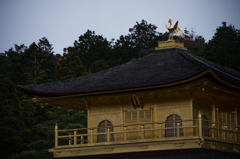 金閣寺
