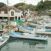 隠岐の島 港町スナップ①