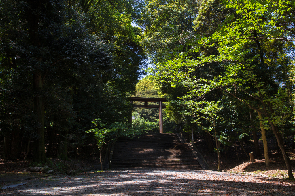 鳥居の先を目指して