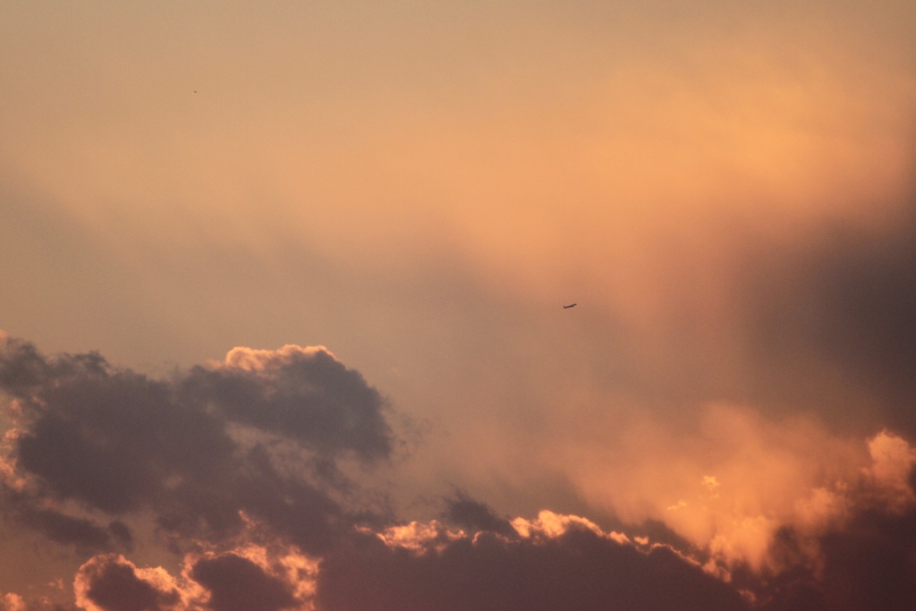 Sunset Flight