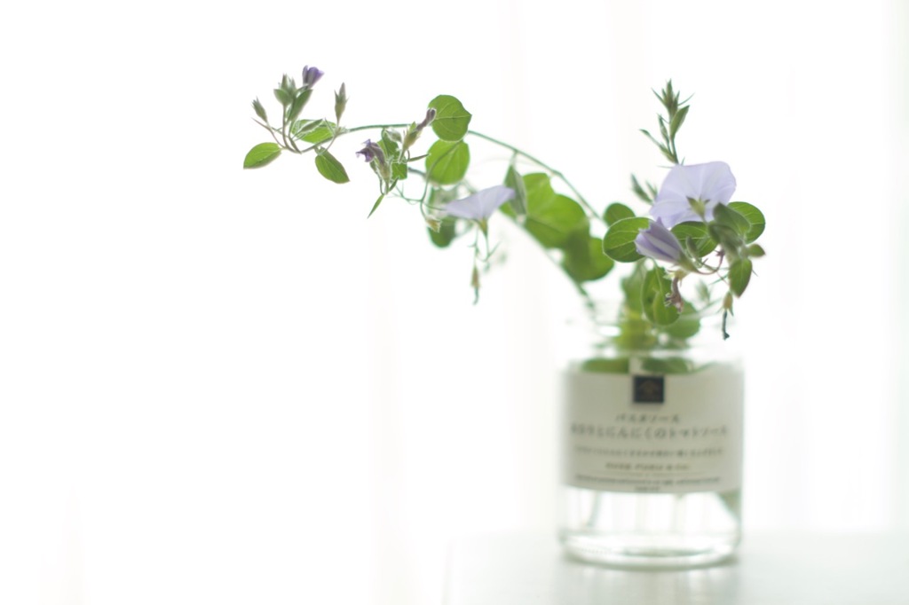 グランドカバー