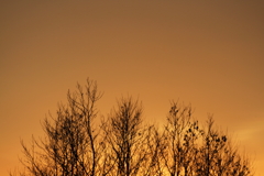 ある日の日暮れ