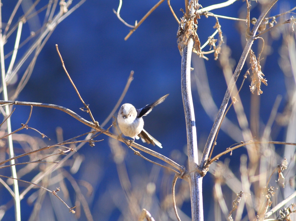 はい　片手あげて〜