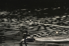 Star Light in the Morning