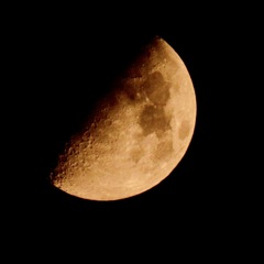 昨夜の月