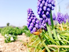 春がやってきた