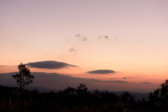 高原の朝