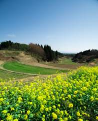 田舎
