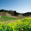田舎
