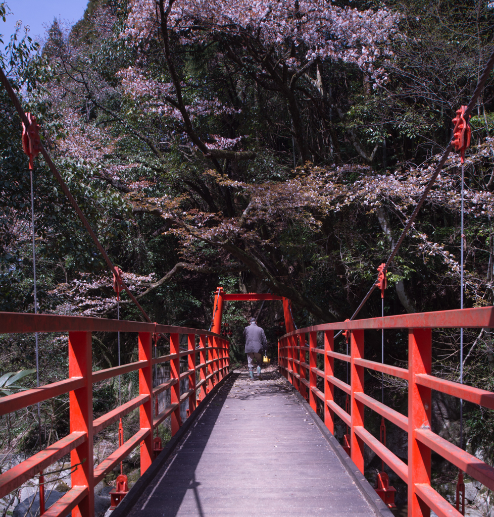 渡る