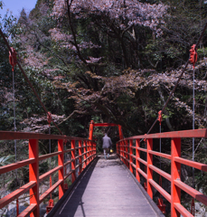 渡る