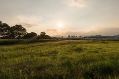 朝