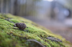 ぽつんと・・・