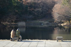 ベンチの小ささ