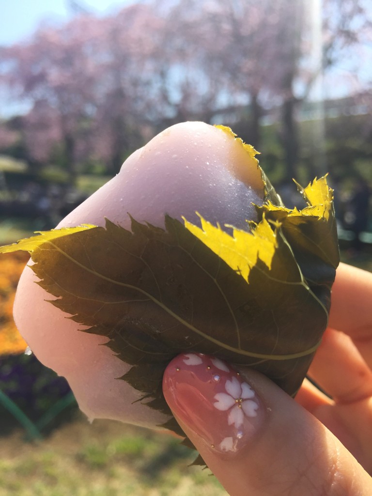 桜の季節、一人の時間