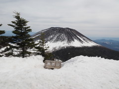 ３/末に行って撮りました