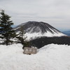 ３/末に行って撮りました