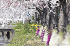 アパート前の川？用水路？