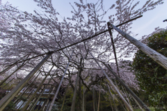 霞間ケ渓公園