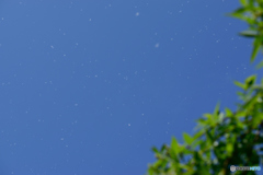 青空に飛び漂う