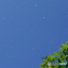 青空に飛び漂う