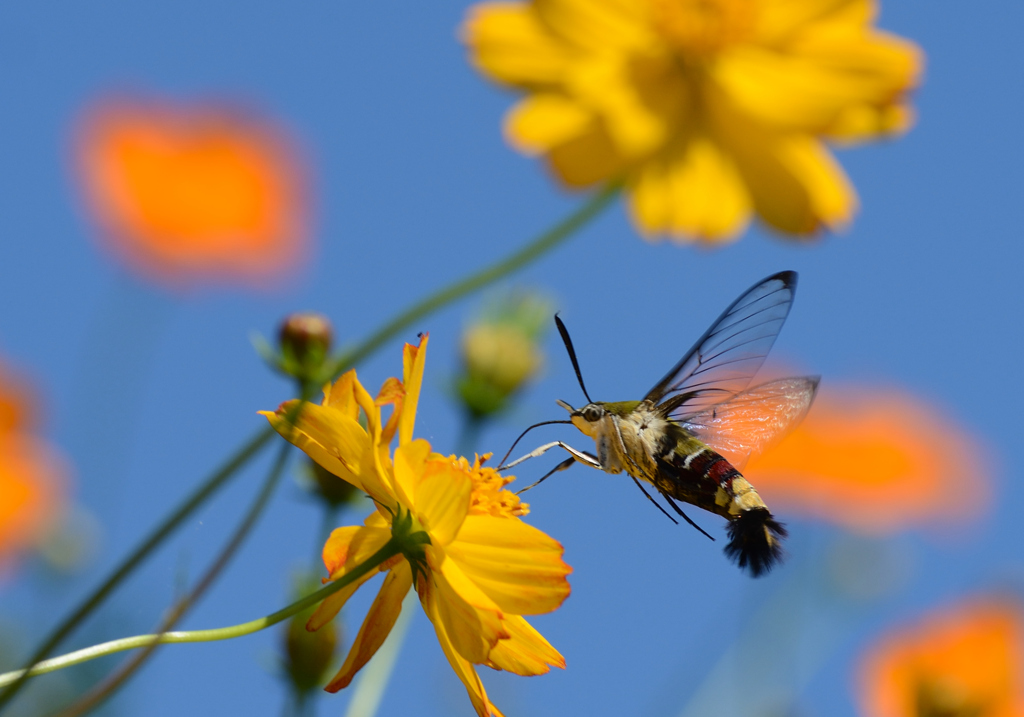 晴天に恵まれて