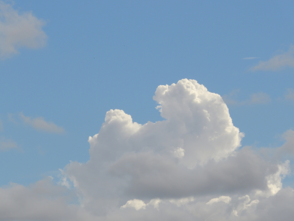 今日も一雨来るのかな