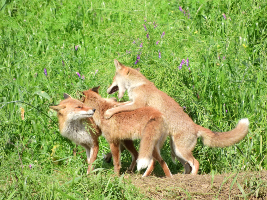 どっか行こうよ～