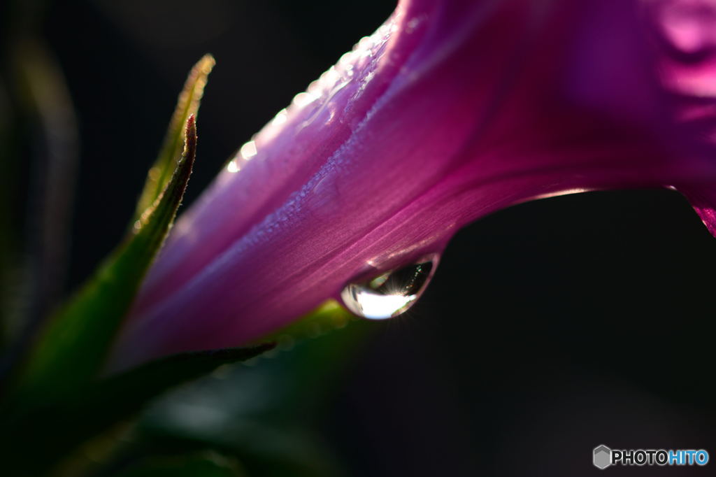 秋驟雨の名残