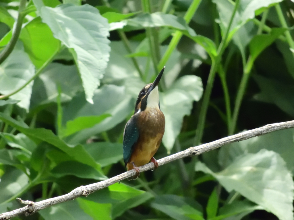 そろそろ帰ろかな