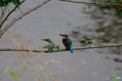 振り向けば君がいた