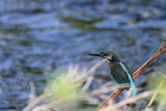 近すぎだってば
