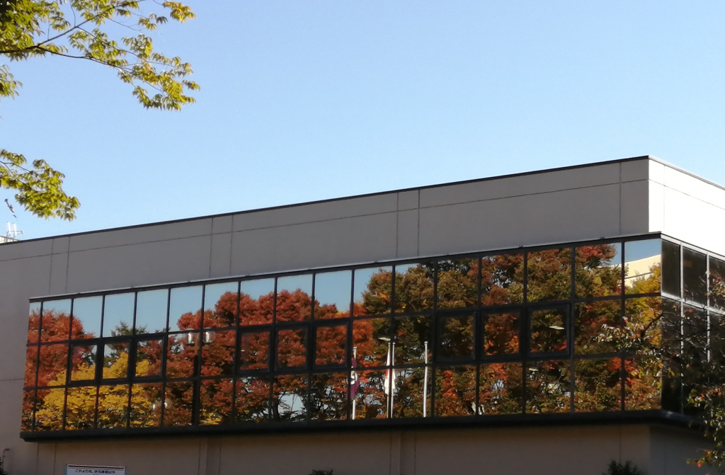 Display window