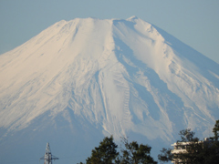 おらが富士