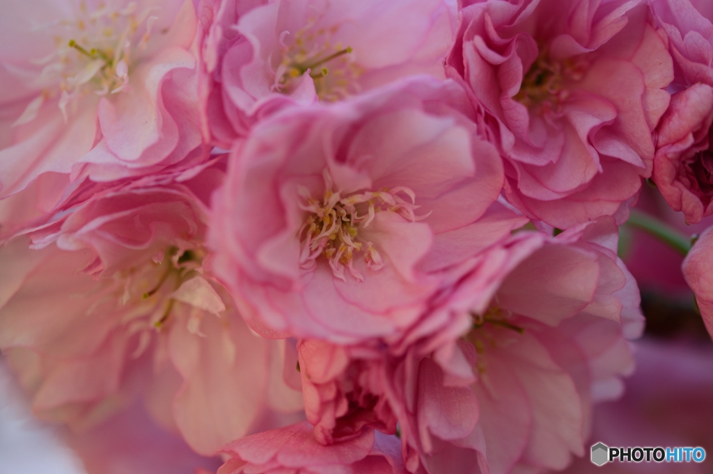 寄ってみました