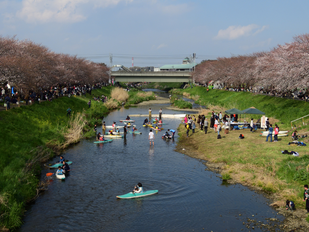 雨上がりの「花まつり」