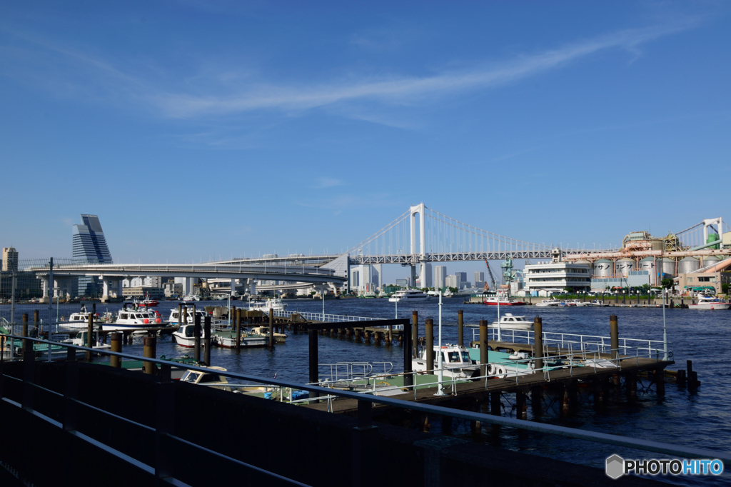 レインボーブリッジを望む