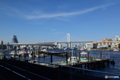 レインボーブリッジを望む