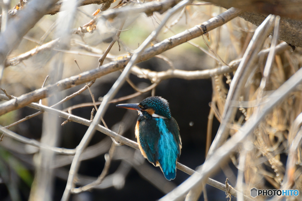 気づかないでね、すり³