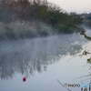 晩秋の川面