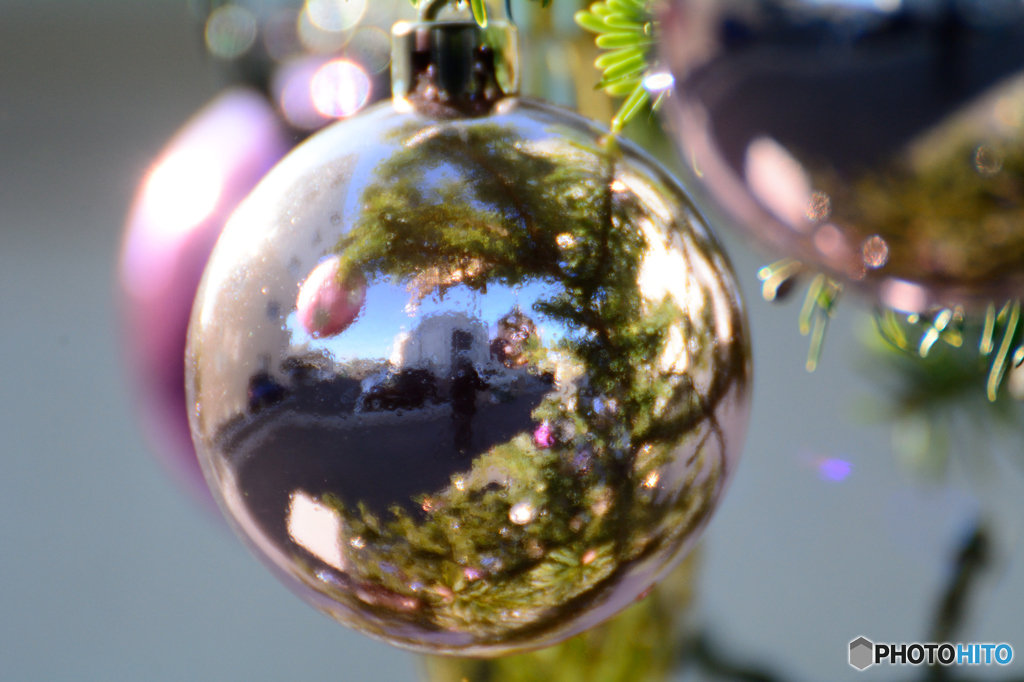 クリスマスツリー