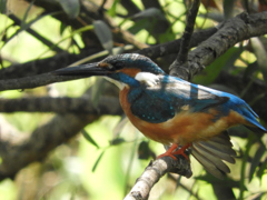 右ウイング確認中