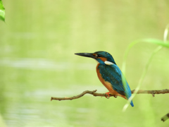 最近のお気に入り場所