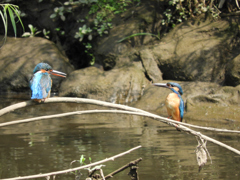 あなた、子守りお願いね