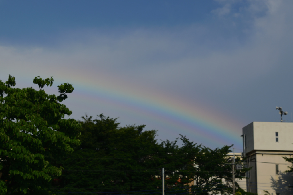 束の間の出来事